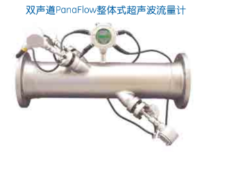 PanaFLow 管道式超聲波流量計
